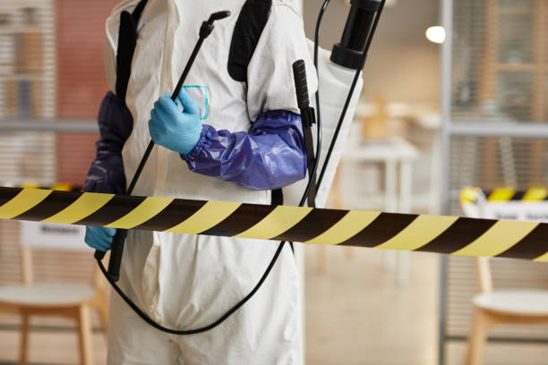 Professional Biohazard Cleanup technician working in Lumberton, TX